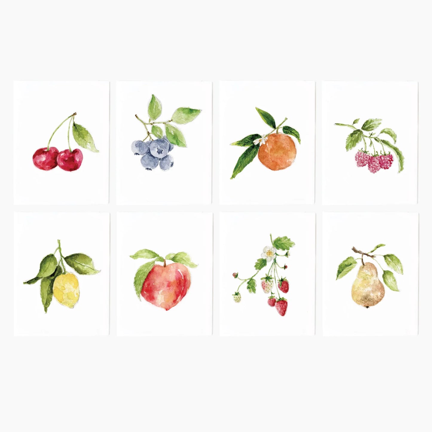 fruit assorted notecard