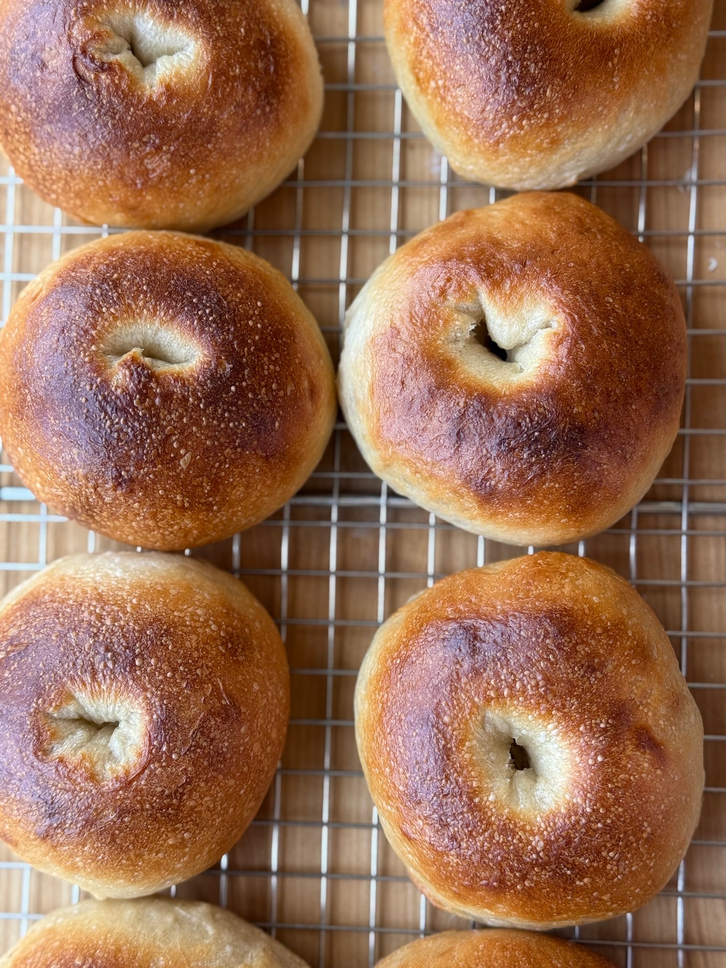 feremented sourdough bagels (4 pack)