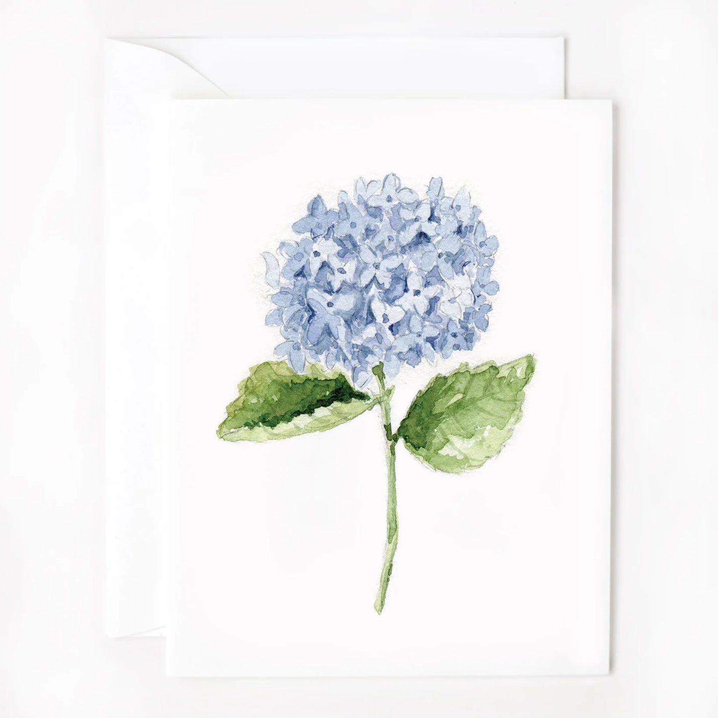hydrangea stem notecards