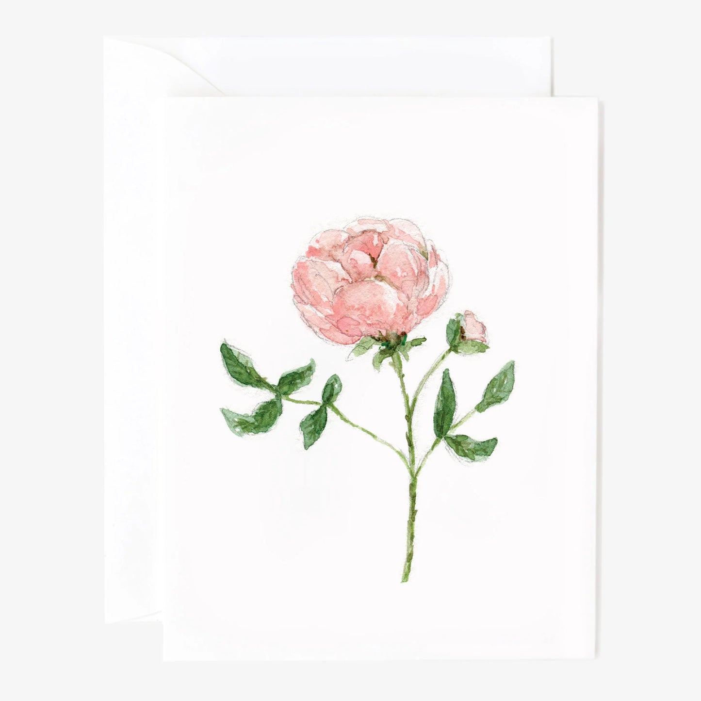 garden rose notecards