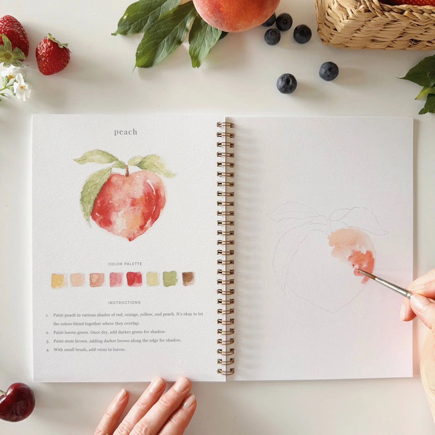 fruit watercolor workbook